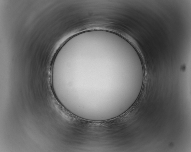 X0000116001051200911191209