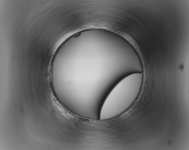 X0000116001052200911191209