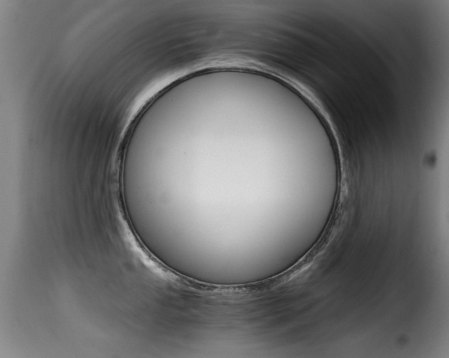 X0000116001053200911191209