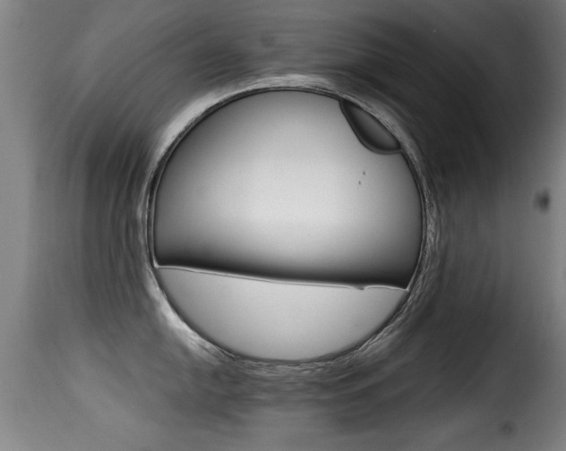 X0000116001054200911191209