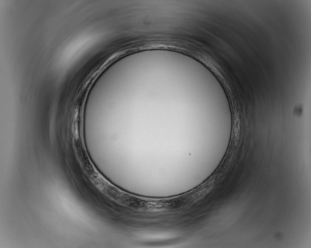 X0000116001055200911191209