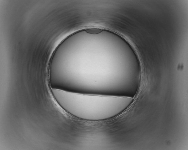 X0000116001056200911191209
