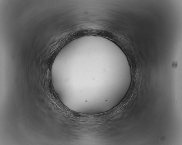 X0000116001061200911191209