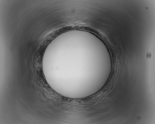 X0000116001063200911191209