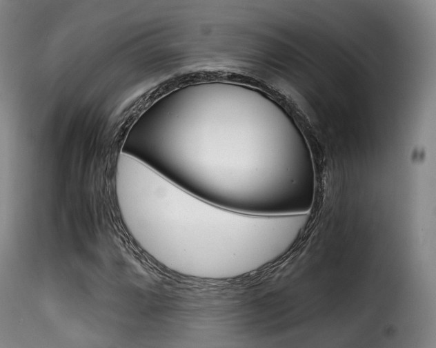 X0000116001064200911191209