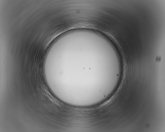 X0000116001065200911191209