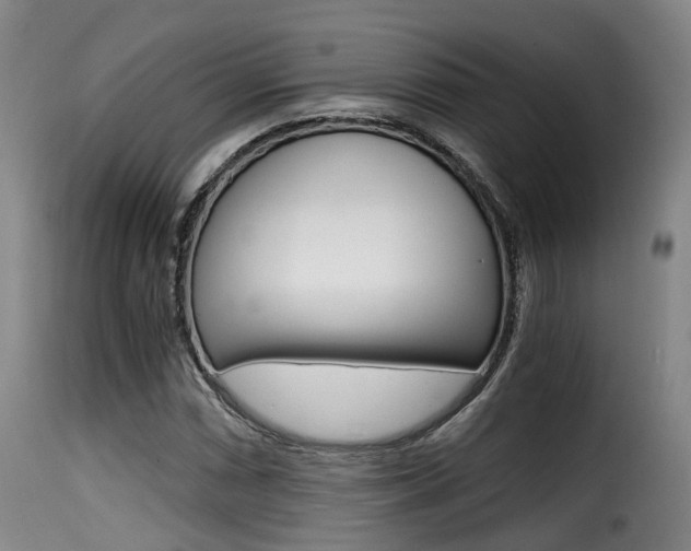 X0000116001066200911191209