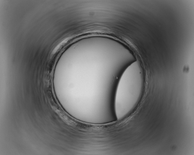 X0000116001067200911191209