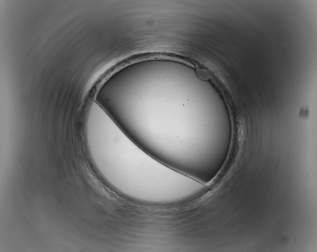 X0000116001069200911191208