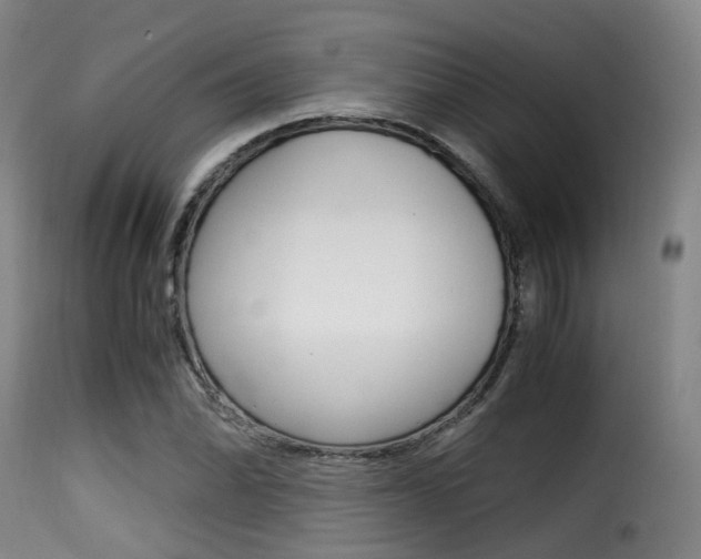 X0000116001070200911191208