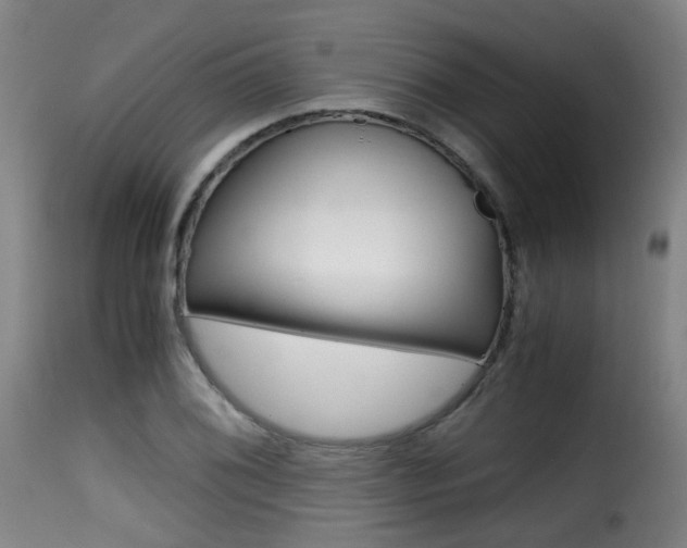 X0000116001076200911191208