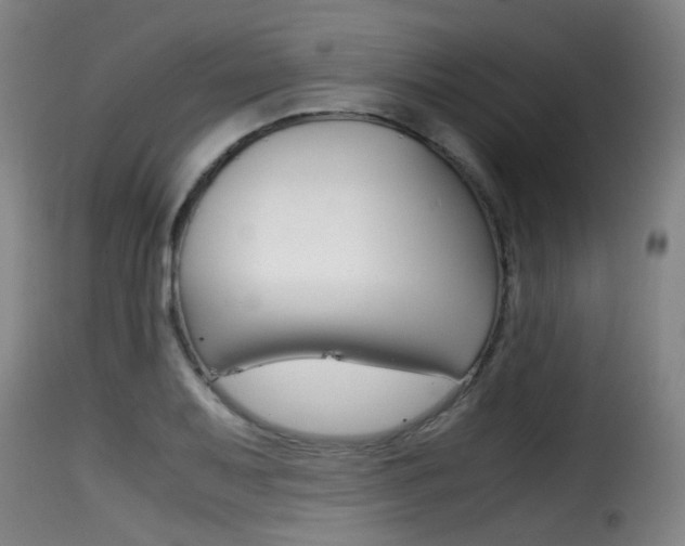 X0000116001079200911191208