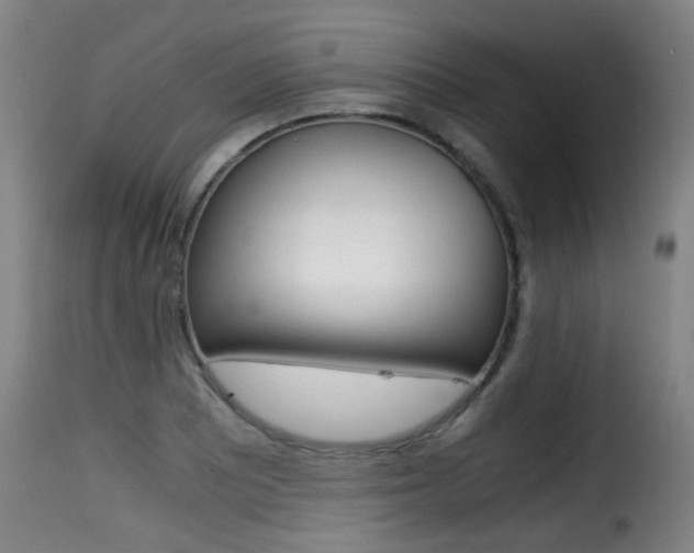 X0000116001081200911191208