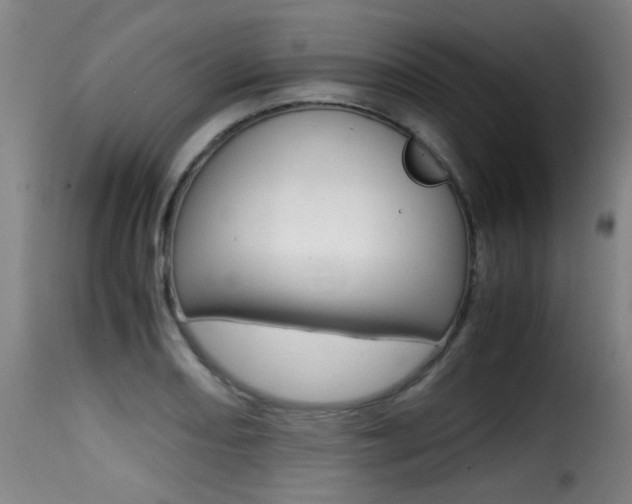 X0000116001082200911191208