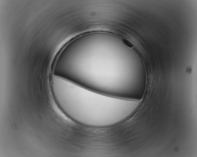 X0000116001084200911191208