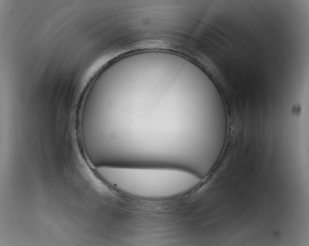 X0000116001086200911191208