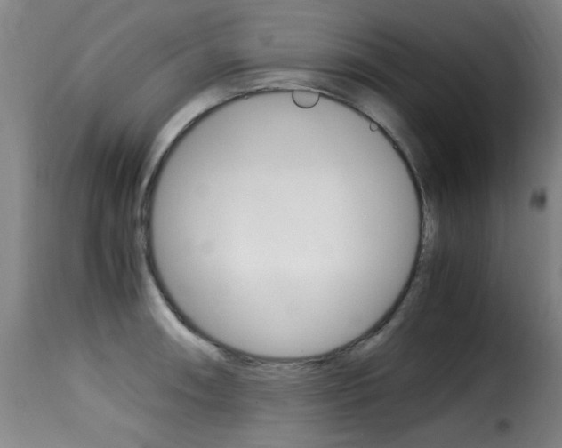 X0000116001090200911191208