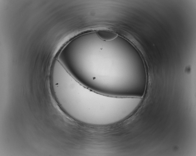X0000116001093200911191208