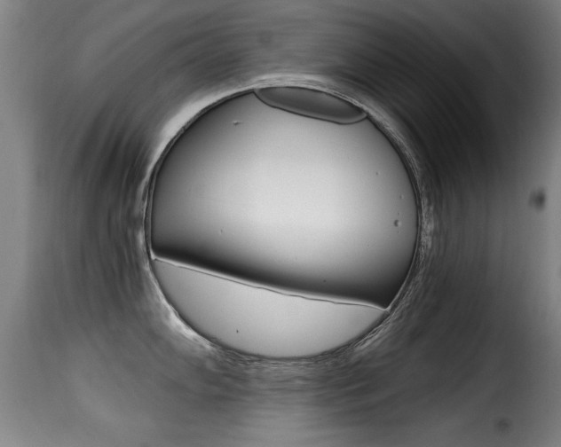 X0000116001102200911191208