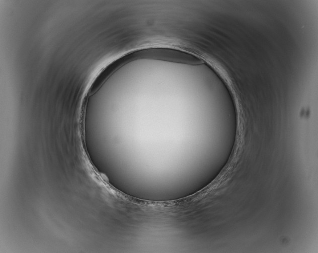 X0000116001104200911191208