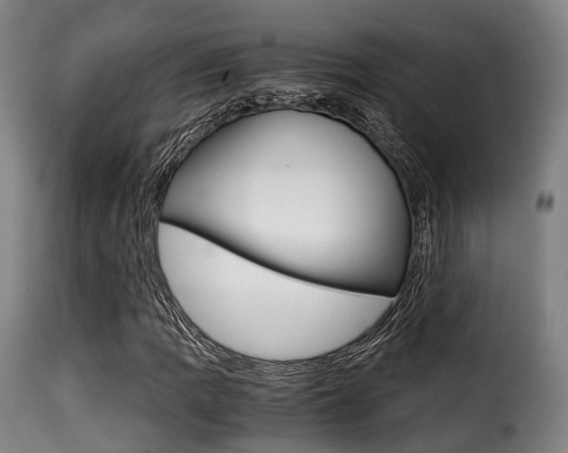X0000116001109200911191207
