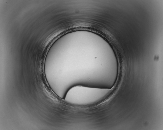 X0000116001113200911191207