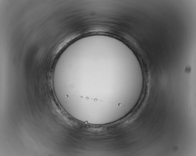 X0000116001121200911191207