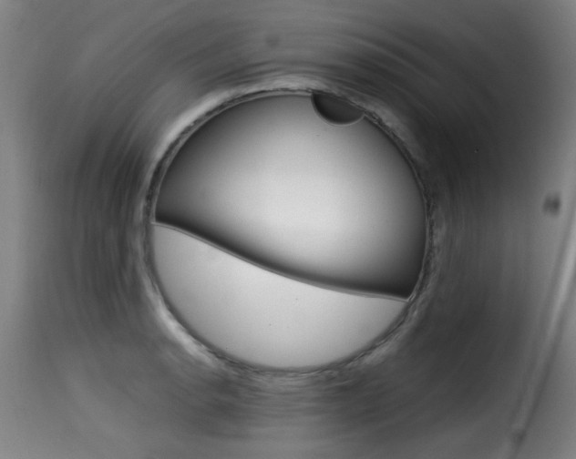 X0000116001134200911191208