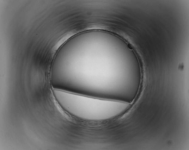 X0000116001137200911191208