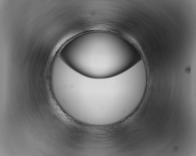 X0000116001138200911191208
