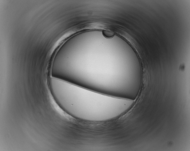 X0000116001139200911191208