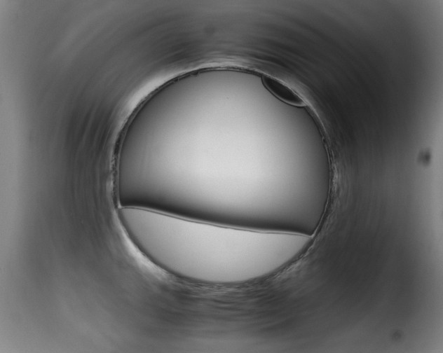 X0000116001143200911191208
