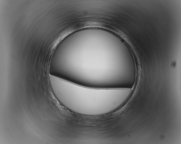 X0000116001145200911191208