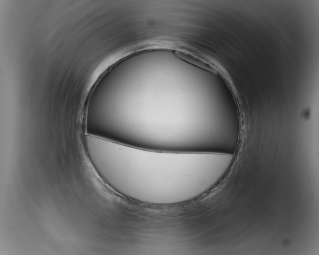 X0000116001146200911191208