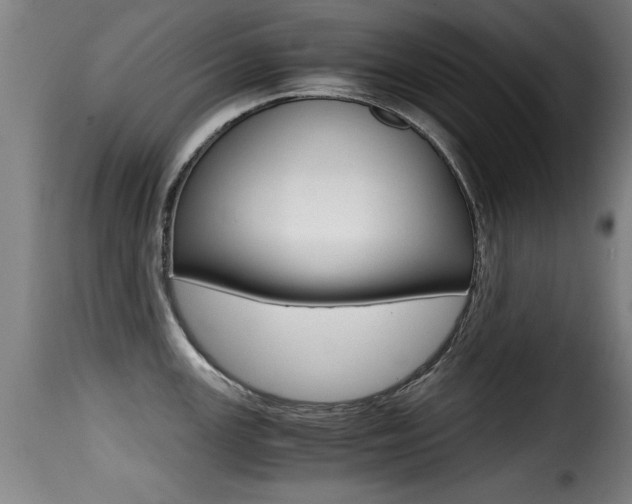 X0000116001147200911191208