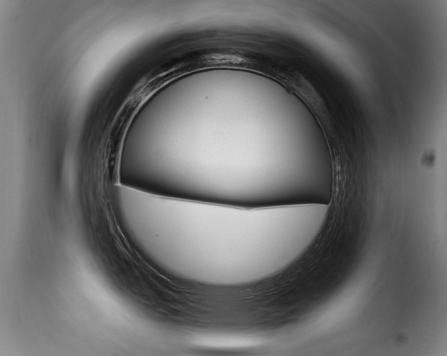 X0000116001151200911191208