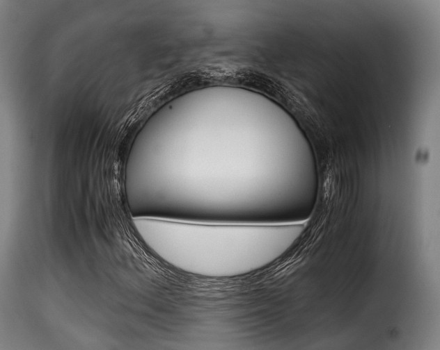 X0000116001156200911191207