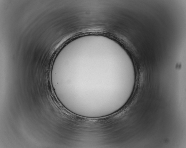 X0000116001162200911191207
