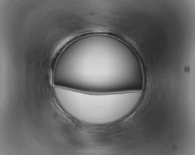 X0000116001171200911191207