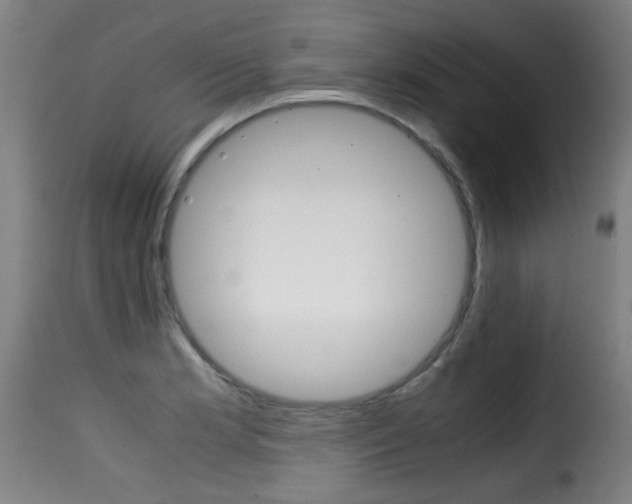 X0000116001181200911191207