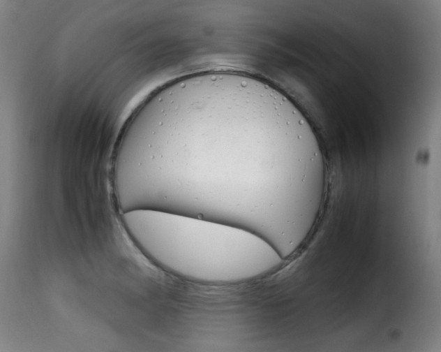 X0000116001182200911191207