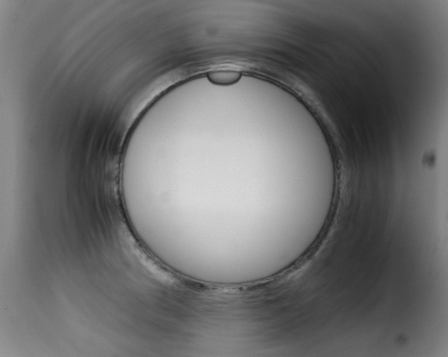X0000116001186200911191206