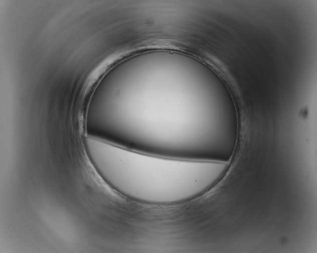 X0000116001188200911191206