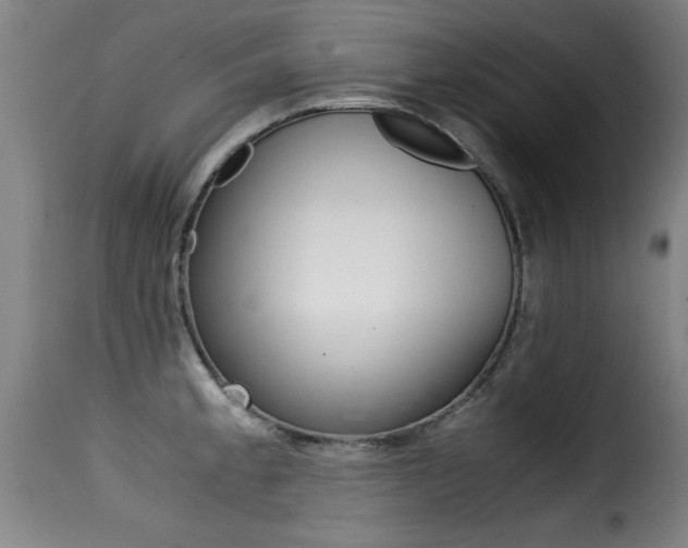 X0000116001189200911191206