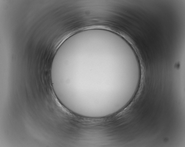 X0000116001193200911191206