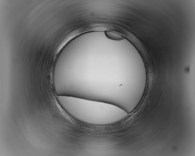 X0000116001194200911191206