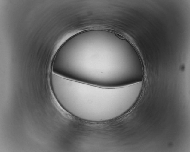 X0000116001195200911191206