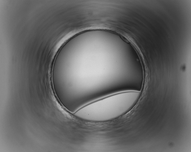 X0000116001197200911191206