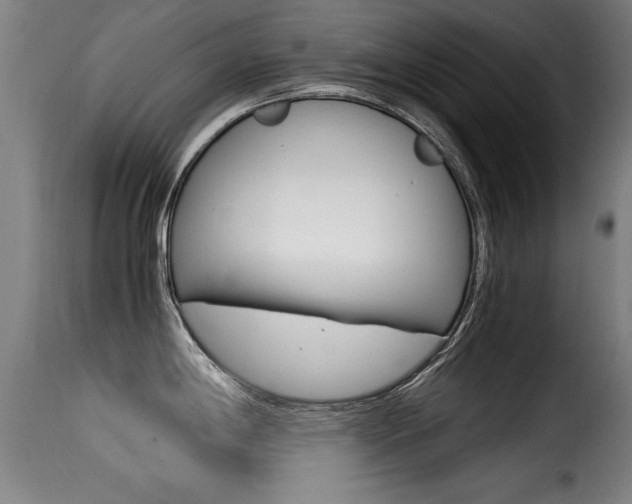 X0000116001198200911191206