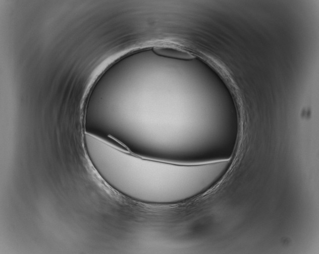 X0000116001200200911191206